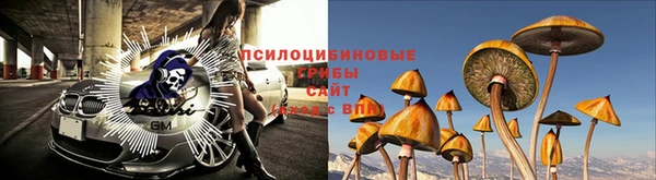 спайс Новодвинск