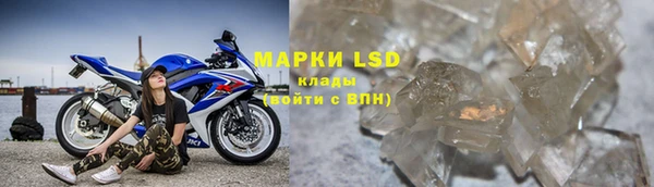 a pvp Новозыбков