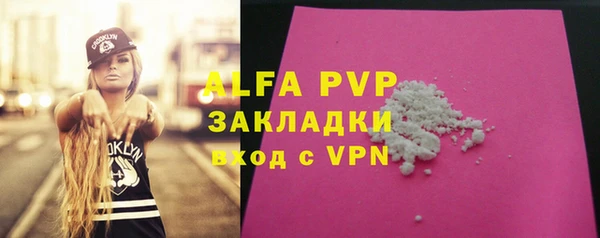 a pvp Новозыбков