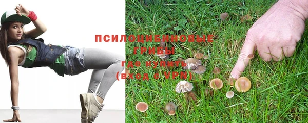 дживик Болотное
