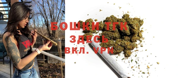 спайс Новодвинск