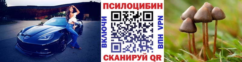 Псилоцибиновые грибы мухоморы Богданович