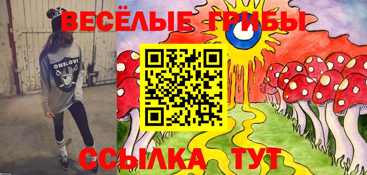 Галлюциногенные грибы Psilocybe  Богданович 