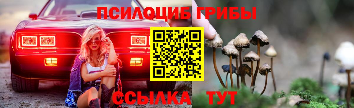Псилоцибиновые грибы мухоморы  Вход с VPN  Богданович 