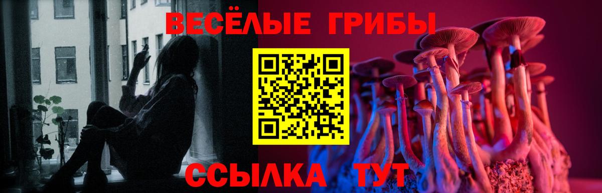 Галлюциногенные грибы Cubensis Богданович
